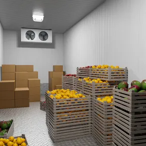 Frozen Food